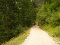 2014-08-02_06FritzPflaum-Steig (440).JPG